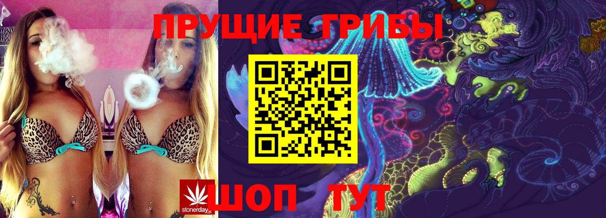 дарнет шоп  Вход с VPN  Губкинский  Псилоцибиновые грибы Psilocybe 