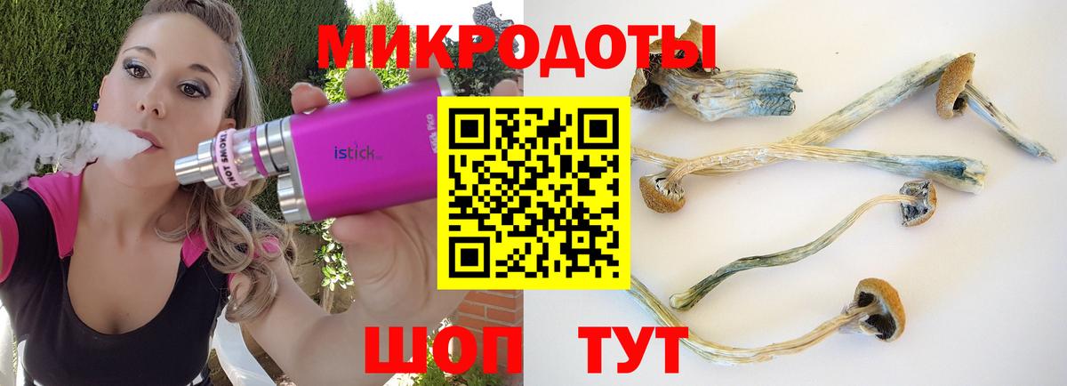 Галлюциногенные грибы Cubensis Губкинский